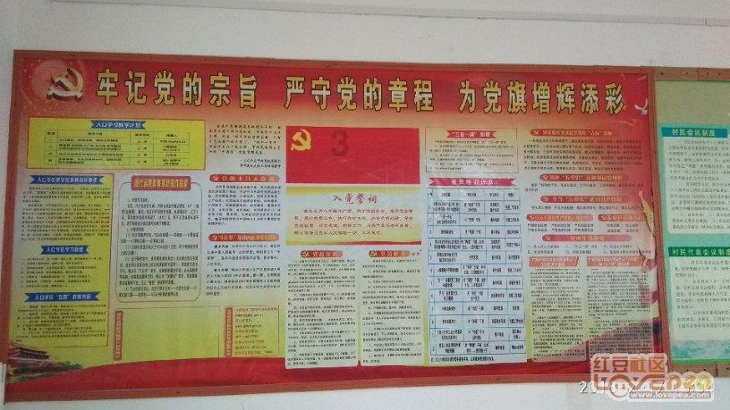 愤怒的小鸟